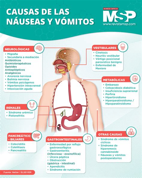 Náusea e vômito em adultos